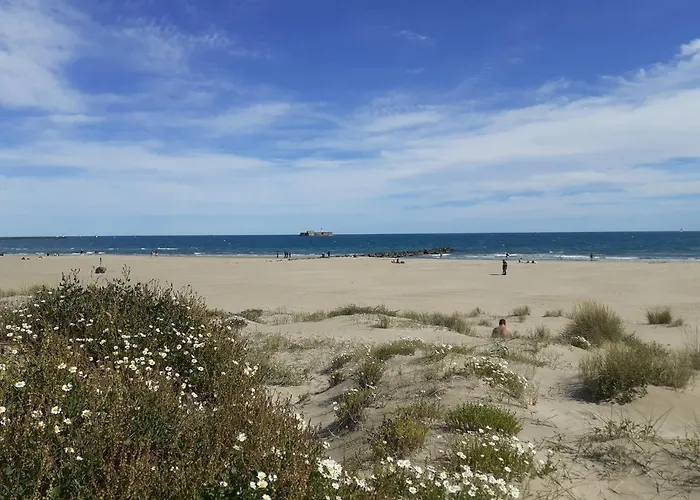 Les Maisons Sur La Plage, T2 Les Pieds Dans L'eau *